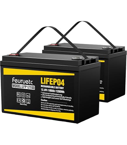 Amazon.com: 3 Pack 12V 100Ah LiFePO4 Lithium Battery with 100A BMS